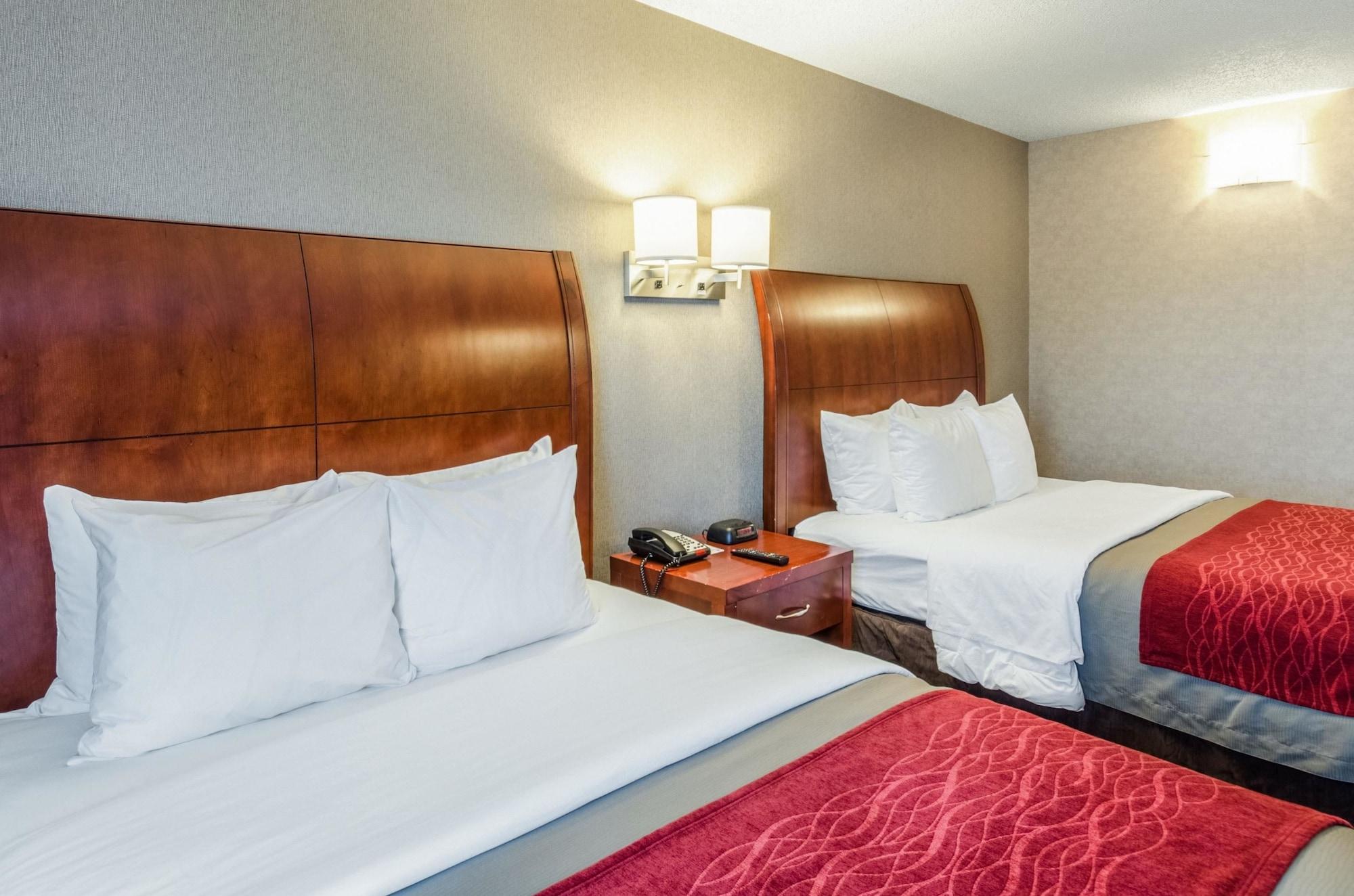 Comfort Inn & Suites West Springfield Exteriér fotografie
