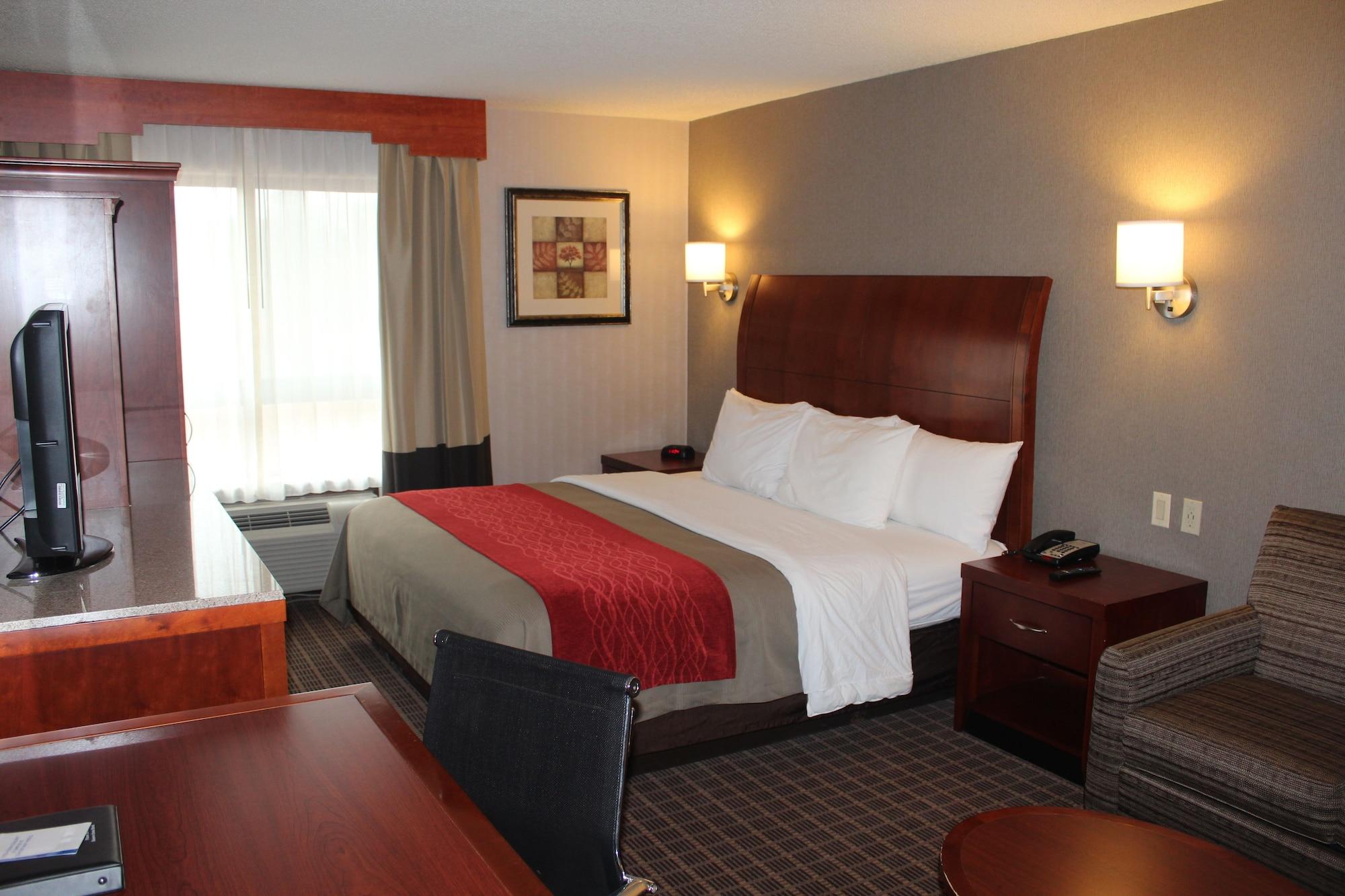 Comfort Inn & Suites West Springfield Exteriér fotografie