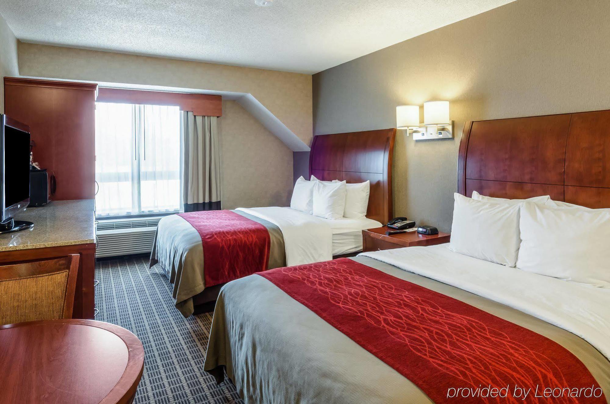 Comfort Inn & Suites West Springfield Exteriér fotografie