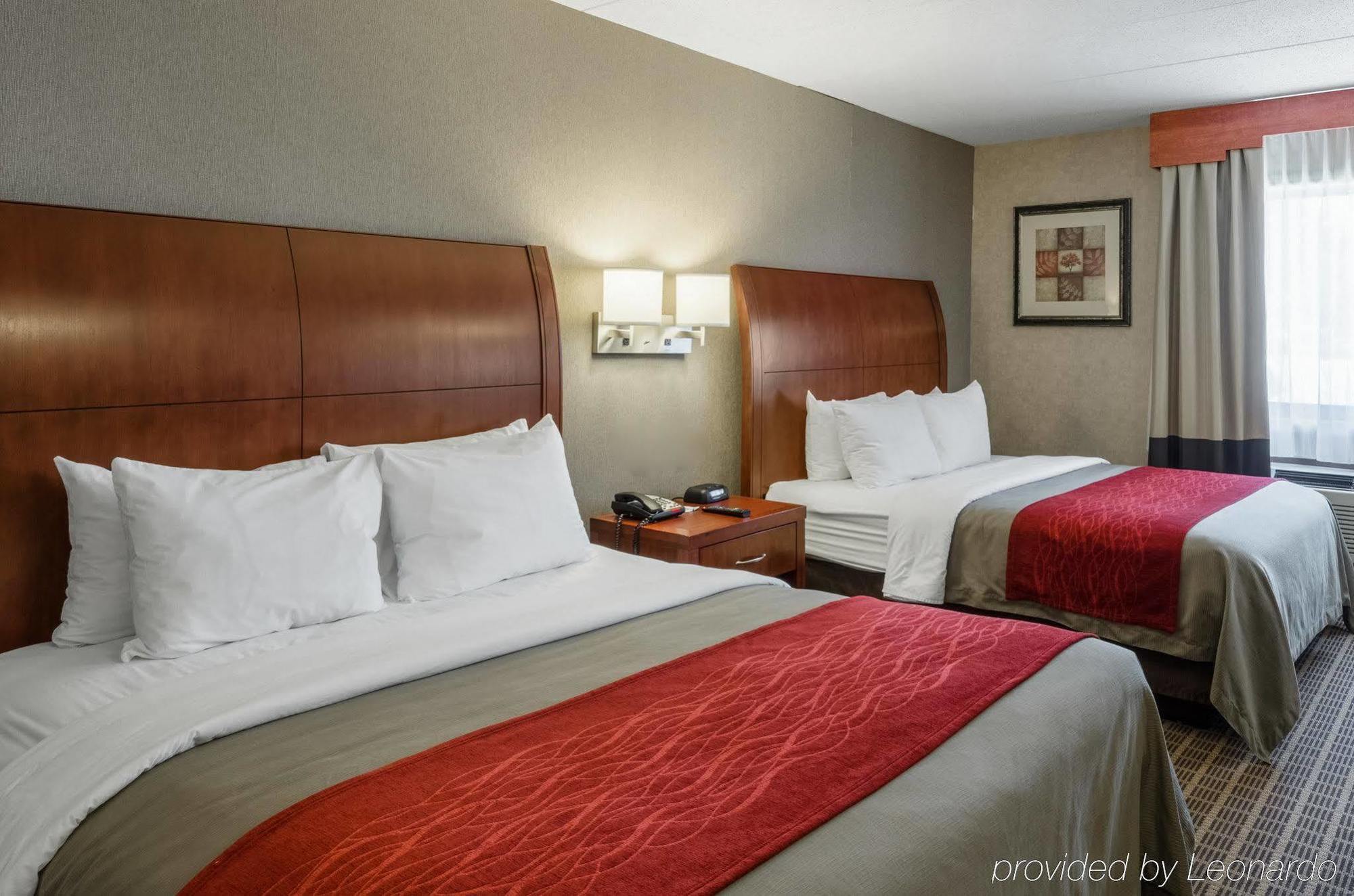 Comfort Inn & Suites West Springfield Exteriér fotografie